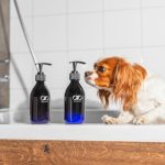 Najlepsze szampony dla psów – jak wybrać idealny produkt dla swojego pupila?